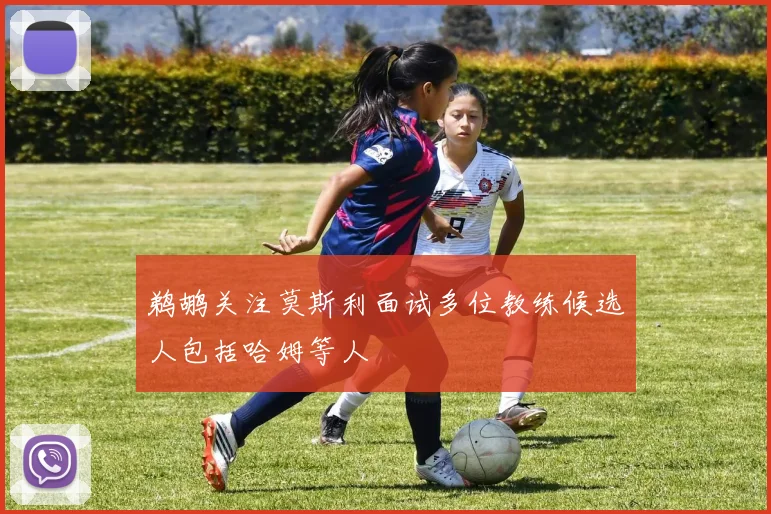 鹈鹕关注莫斯利面试多位教练候选人包括哈姆等人